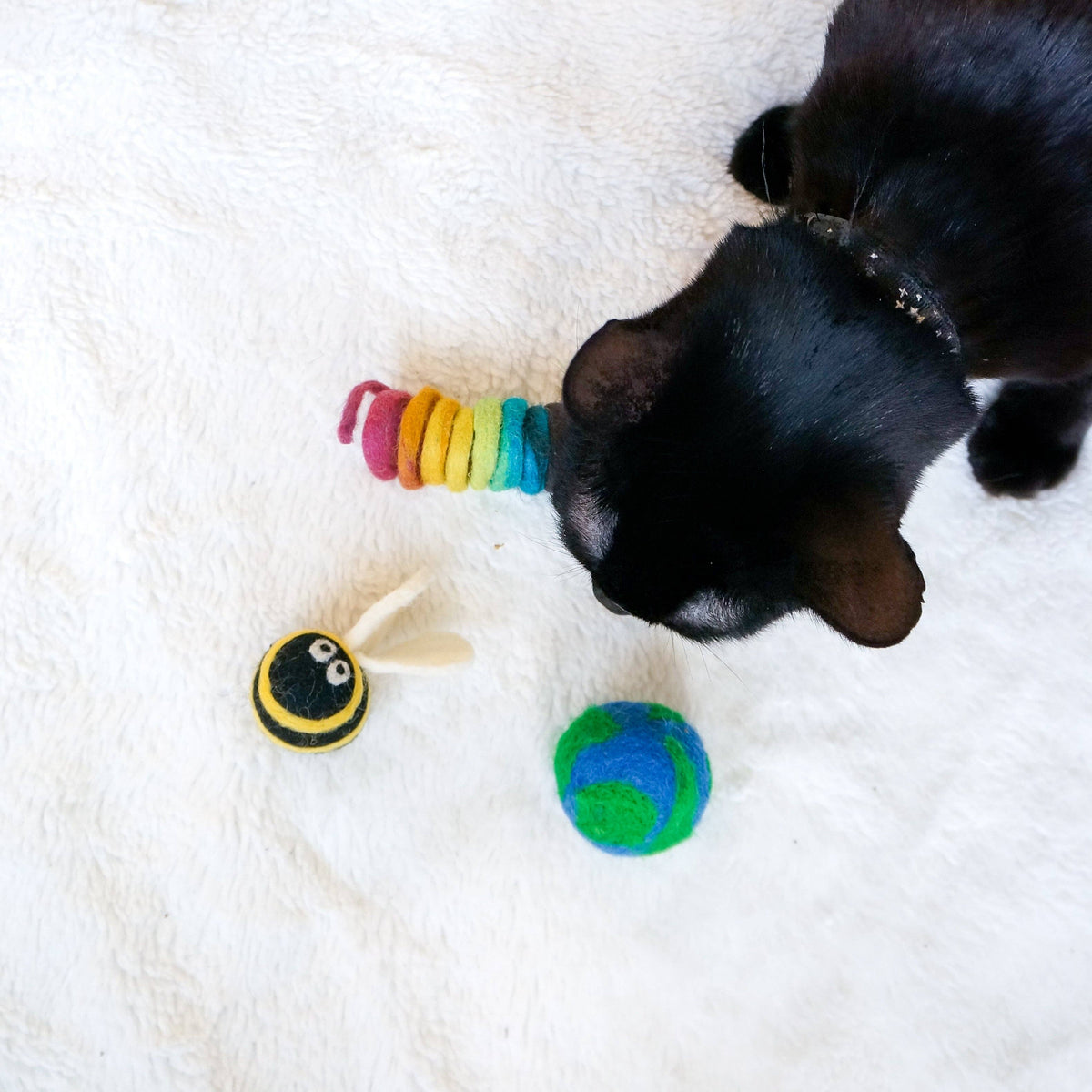 Kitty Playtime Bundle