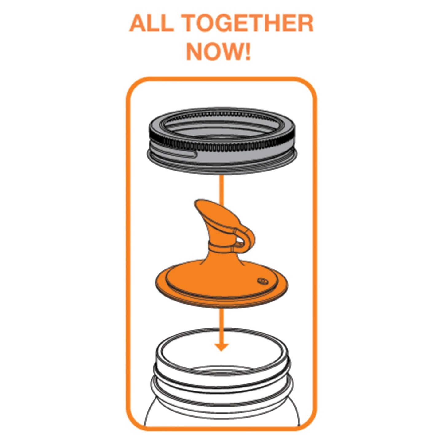 Oil Cruet Lid with No-Drip Spout for Regular-Mouth Mason Jars